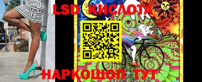 ешки Ставрополь
