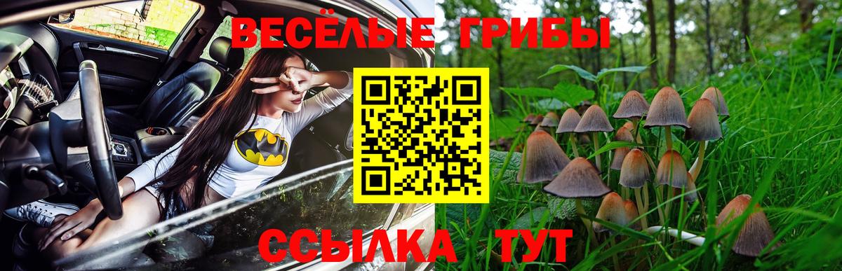 Ачхой-Мартан  Псилоцибиновые грибы мухоморы  Псилоцибиновые грибы мухоморы  Вход с VPN 